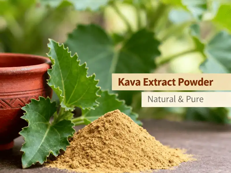 Kava Extract Powder vs Valerian Root: Which Works Better for Anxiety?